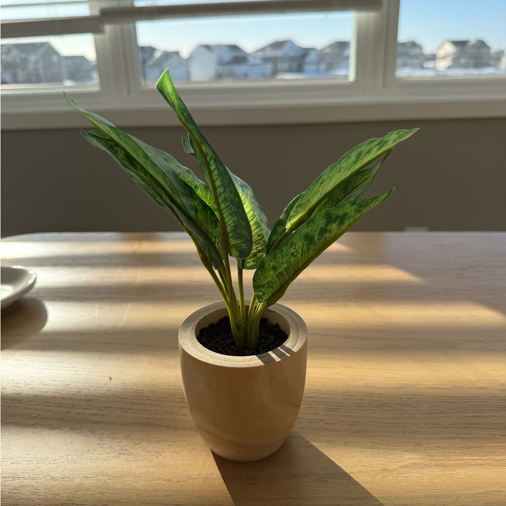 Threshold Faux Plant with Green Leaves in Tan Pot